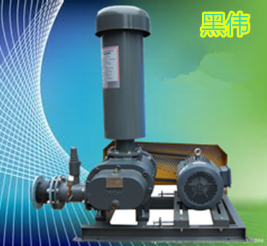 羅茨鼓風(fēng)機(jī)_ 羅茨鼓風(fēng)機(jī)_