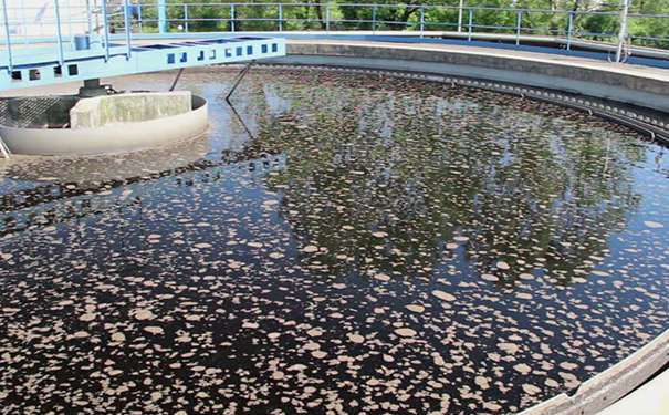 無(wú)懼污水之王！曝氣生物濾池如何清除骯臟污水？